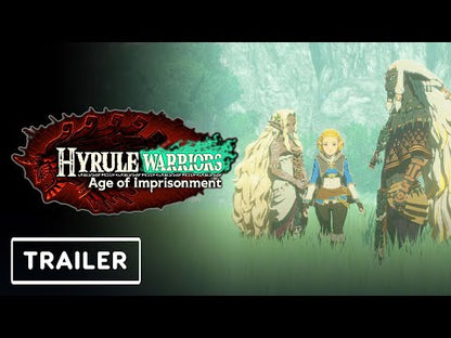 Hyrule Warriors : Age Of Imprisonment